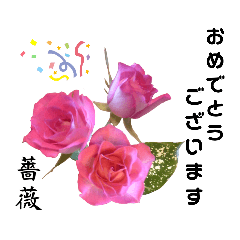 [LINEスタンプ] 愛花(◍•ᴗ•◍)会話にお花を添えて