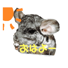 [LINEスタンプ] AO's zoo