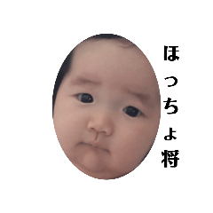 [LINEスタンプ] ほちょちゃんの画像（メイン）