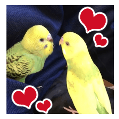 [LINEスタンプ] セキセイインコのフクチョウとぴーちゃん