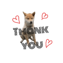 [LINEスタンプ] 子供のふく