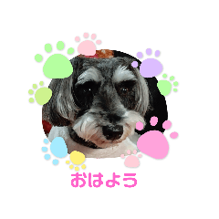 [LINEスタンプ] リーちゃんのあいさつ