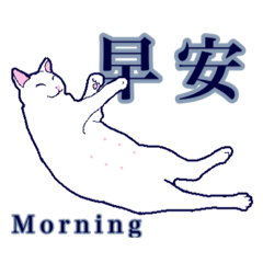 [LINEスタンプ] ネッコネコ台湾語