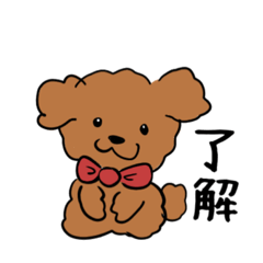 [LINEスタンプ] トイプードルのティラミスちゃん