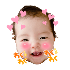 [LINEスタンプ] ひなちゃんお顔スタンプの画像（メイン）