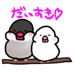 [LINEスタンプ] ゆるーい文鳥スタンプ2(標準語)