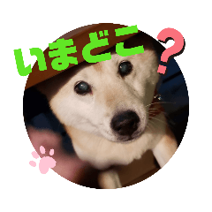 [LINEスタンプ] さくらと一緒 4