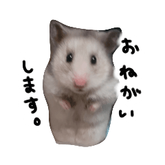 [LINEスタンプ] けだまとれおぱ