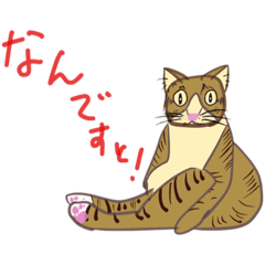 [LINEスタンプ] ぴちいのスタンプ2