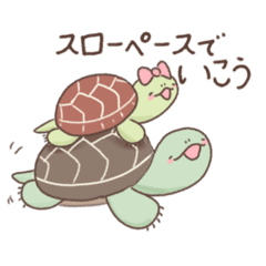 [LINEスタンプ] かめ丸とはち丸