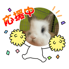[LINEスタンプ] うさカフェりびと仲間達