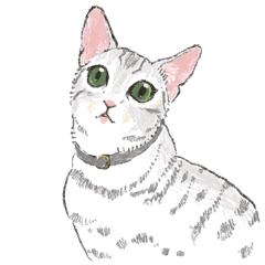 [LINEスタンプ] ベンガル猫 つんこ