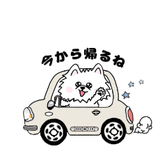 [LINEスタンプ] いつでも使えるポメチワスタンプ