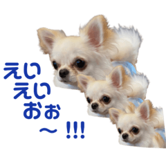 [LINEスタンプ] ルルの毎日♡