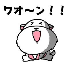 [LINEスタンプ] ソフィ＆ポテニ