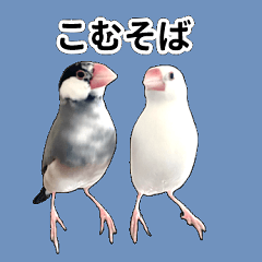 [LINEスタンプ] こむぎ と おそば