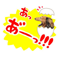 [LINEスタンプ] ミニチュアダックスてん