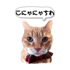 [LINEスタンプ] きなこはーん