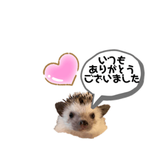 [LINEスタンプ] HAPPYハリネズミのピース No.1