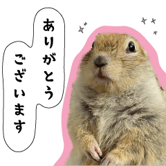 [LINEスタンプ] fluffies0604-1