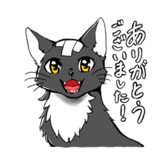 [LINEスタンプ] ばんそーこー猫
【使える敬語スタンプ】