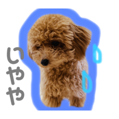 [LINEスタンプ] じぇしーちゃんスタンプ☆