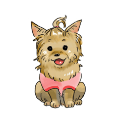 [LINEスタンプ] たがのすたんぷ