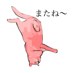 [LINEスタンプ] 猫日常色々