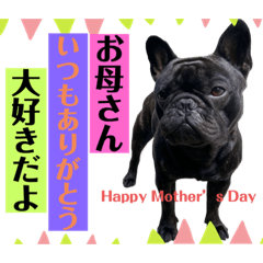 [LINEスタンプ] フレンチブルドッグのバイエスの1年