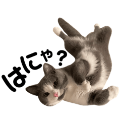 [LINEスタンプ] ムロとウリ③