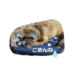 [LINEスタンプ] あお AO Part4