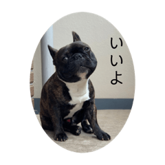 [LINEスタンプ] みんなみんなかわいい子たち