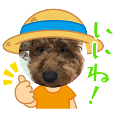 [LINEスタンプ] 犬の気持ち〜〜〜