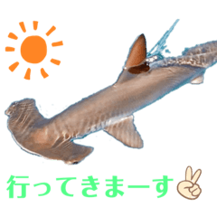 [LINEスタンプ] 海。空撮スタンプ③