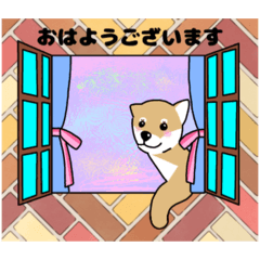 [LINEスタンプ] 柴犬 さんちゃんスタンプ イラスト