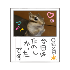 [LINEスタンプ] みんなと一緒 9