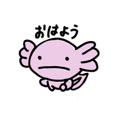 [LINEスタンプ] 毎日使える可愛いウーパールーパー