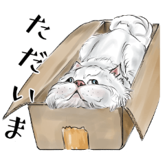 [LINEスタンプ] 白猫クロ