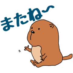 [LINEスタンプ] プレリのトコたん