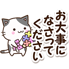 [LINEスタンプ] くろぶちネコ【ていねい＆敬語】