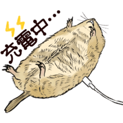 [LINEスタンプ] みんなのリチャードソンジリス 4