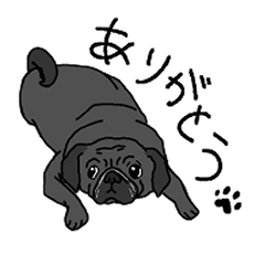 [LINEスタンプ] 黒パグのパギー