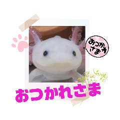 [LINEスタンプ] ウーパーもちこと一緒 6