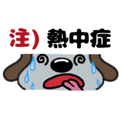 [LINEスタンプ] 犬のじょんこ顔文字風      ～日常～ 夏