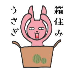 [LINEスタンプ] 箱住みうさぎのスタンプ