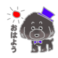 [LINEスタンプ] かわいいトイプードル 福(ふく)＆純(すみ)