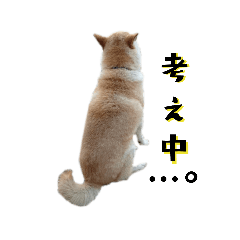 [LINEスタンプ] 柴犬ふく④