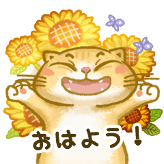 [LINEスタンプ] マンチカンの毎日のご挨拶