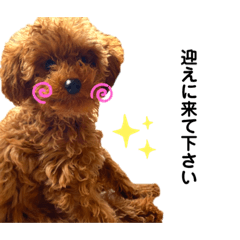[LINEスタンプ] 멍ㅇㅇㅇ이(犬)