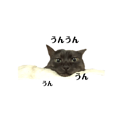 [LINEスタンプ] あくびとふくすけ1